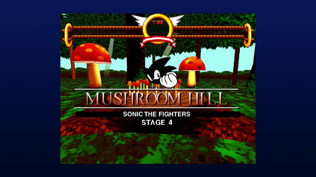 Sonic The Fighters Screenshot 13