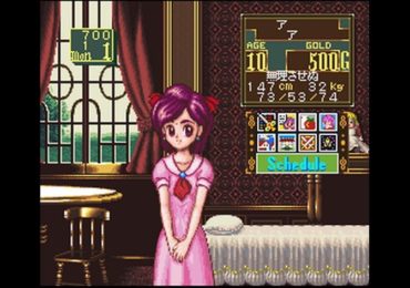 Princess Maker Legend of Another World Japan