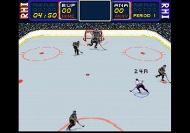 RHI Roller Hockey 95 USA Proto
