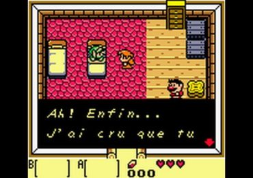 Legend of Zelda The Links Awakening DX France