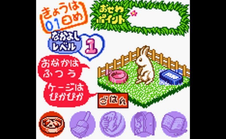 Nakayoshi Pet Series 2 Kawaii Usagi Japan