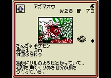 Pokemon Card GB Japan