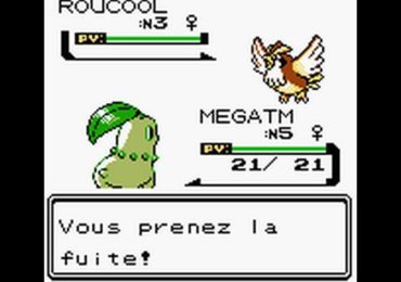 Pokemon Version Cristal France