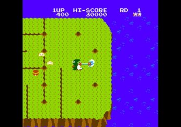 Dig Dug II Trouble in Paradise USA