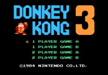 Donkey Kong 3 World