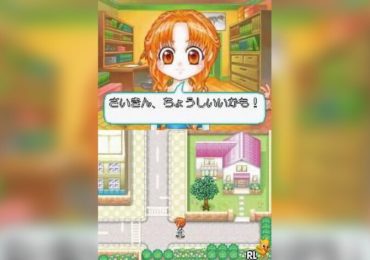 Manga ka Debut Monogatari DS Akogare Manga ka Ikusei Game Japan