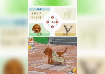 Nintendogs Chihuahua Chingudeul Korea