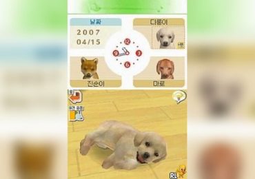 Nintendogs Labrador Chingudeul Korea