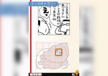 Rupupu Cube Lup Salad DS Japan