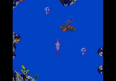 Ecco II The Tides of Time USA Europe