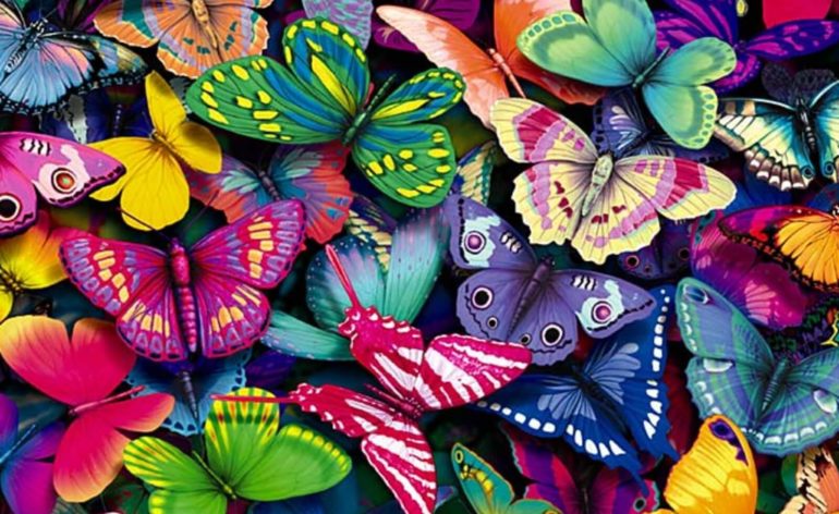 bed of butterflies phone tablet wallpaper