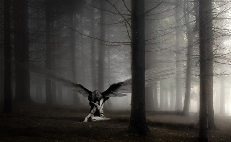 cgi fantasy dark forest angel wallpaper 151835