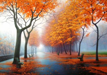 orange autumn trail hd wallpaper