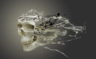 3d CGI Abstract Skull 4K Wallpaper