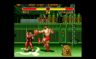 Play Super Street Fighter II