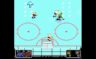 Play NHL Hockey ’91