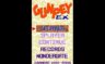 Play GunPey Ex (J) [f1]