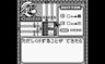 Play Mario no Picross (Japan)