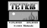 Play Tetris (World) (Rev A)
